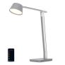 Smart LED Desk Lamp with USB Port, Works with Alexa, Verve™️ Designer Series, Adjustable White + RGB Light, Silver/Gray